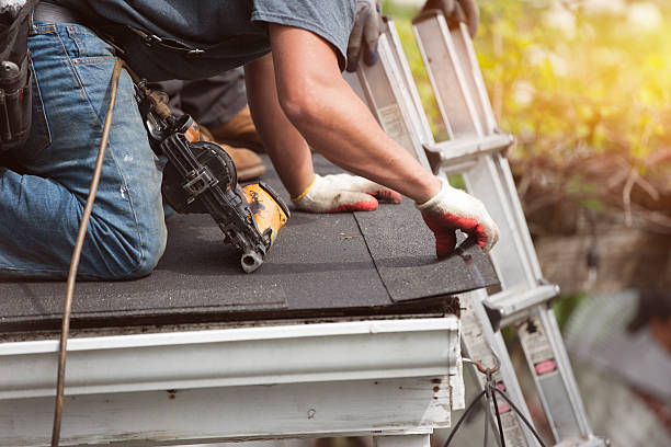 Best Storm Damage Roof Repair  in Utica, MI