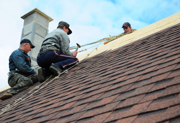 Best Gutter Installation and Roofing  in Utica, MI