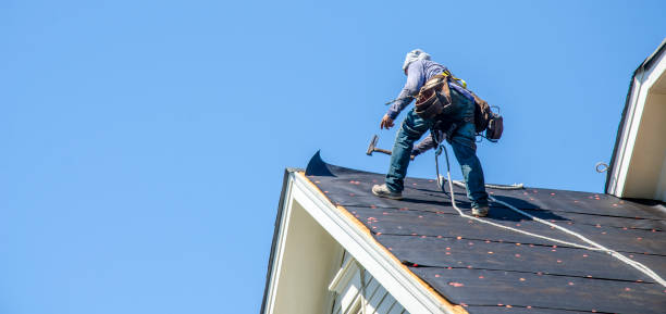 Best Shingle Roofing Installation  in Utica, MI